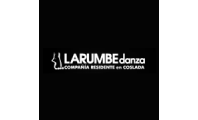 Página web para Larumbe Danza